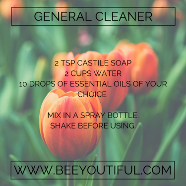 General Cleaner Recipe from Beeyoutiful.com