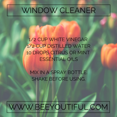 Window Cleaner Recipe from Beeyoutiful.com